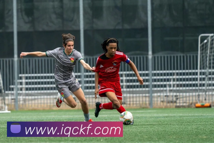 数据防护可视化